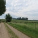 2013-06 19 Zottegem 014