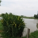 2013-06 19 Zottegem 017
