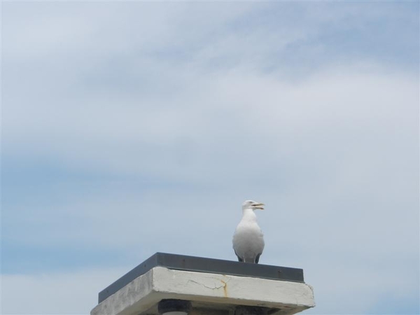 20130616.Blankenberge 054 (Medium)