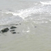 20130616.Blankenberge 060 (Medium)