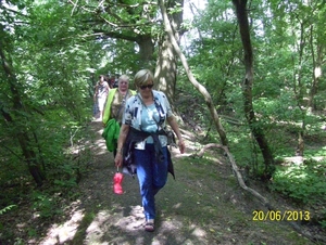 Wandeling naar Bonheiden - 20 juni 2013