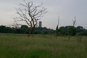 Wandeling naar Bonheiden - 20 juni 2013