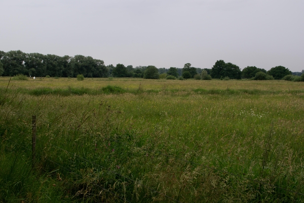 Wandeling naar Bonheiden - 20 juni 2013