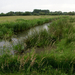 Wandeling naar Bonheiden - 20 juni 2013