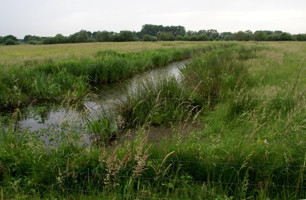 Wandeling naar Bonheiden - 20 juni 2013