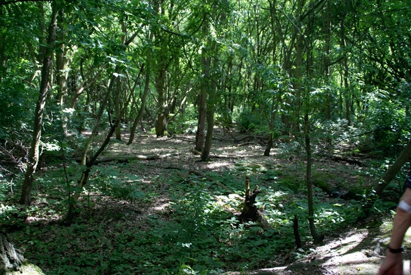 Wandeling naar Bonheiden - 20 juni 2013