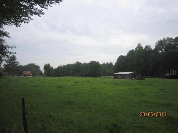 Lille met Okra 20-6-2013 030