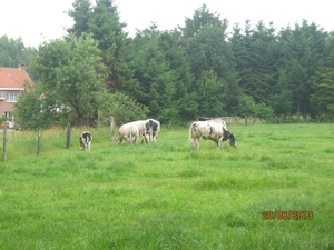 Lille met Okra 20-6-2013 032