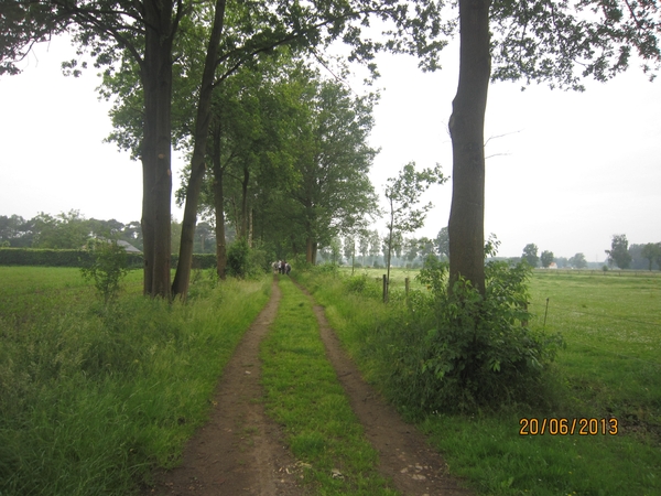 Lille met Okra 20-6-2013 039