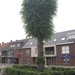 Lille met Okra 20-6-2013 103