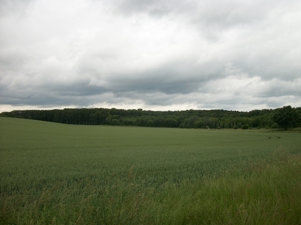 011-Panoramische zichten van Moorsel-Tervuren