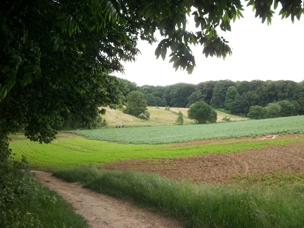 021-Wijdse panorama's van natuur