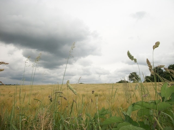 031-Vertrek voor 12.9km...