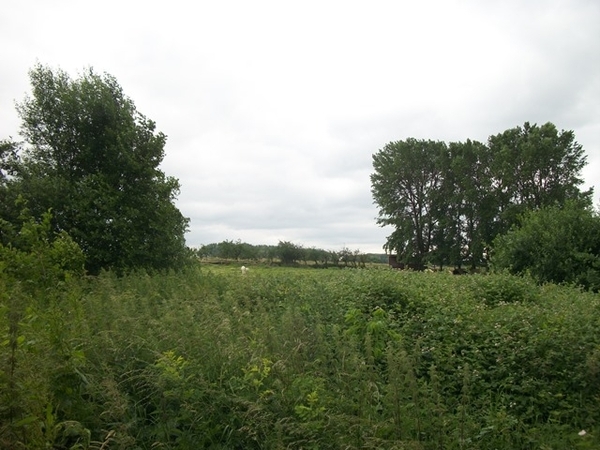 042-Naar Tervuren door volle natuur...