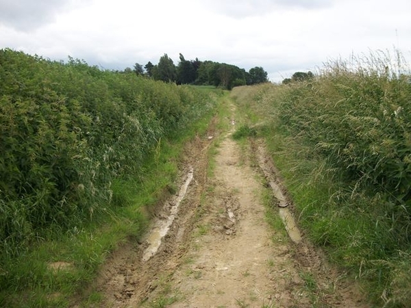 046-Naar Tervuren door volle natuur..
