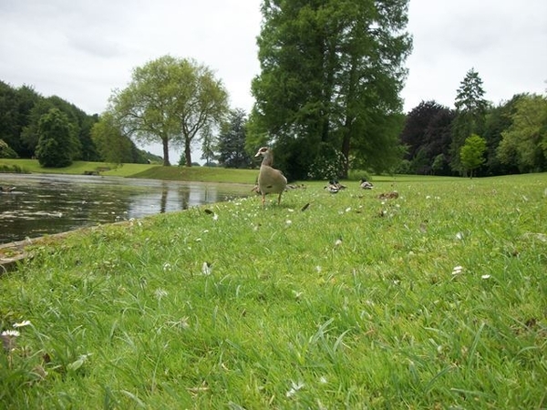 062-Vijvers in Tervurenpark