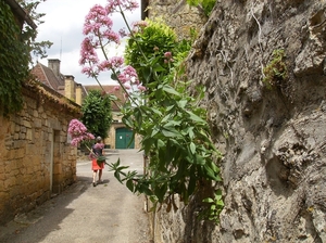 Bretagne Dordogne Juni 2013 164