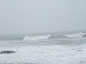 tretat