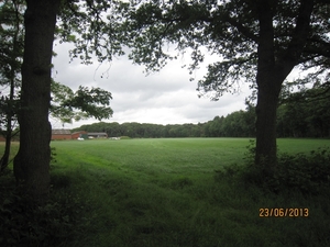 Wandelen in Wortel 23-6-2013 013
