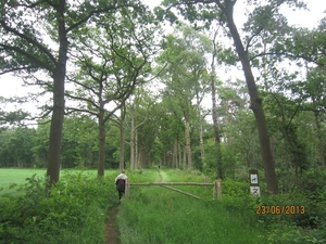 Wandelen in Wortel 23-6-2013 014