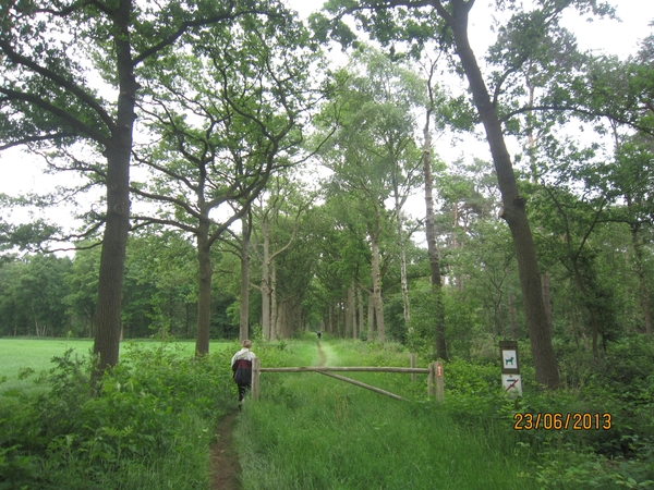 Wandelen in Wortel 23-6-2013 014