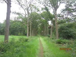 Wandelen in Wortel 23-6-2013 015