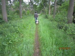 Wandelen in Wortel 23-6-2013 017