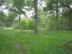Wandelen in Wortel 23-6-2013 018