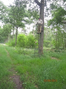 Wandelen in Wortel 23-6-2013 019