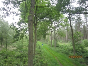 Wandelen in Wortel 23-6-2013 020