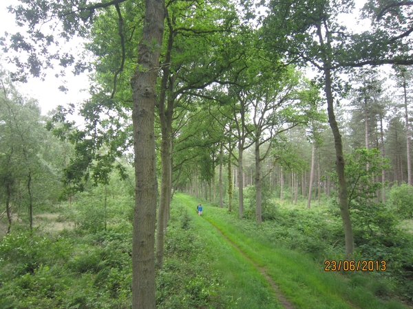 Wandelen in Wortel 23-6-2013 020