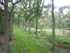 Wandelen in Wortel 23-6-2013 021