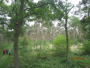 Wandelen in Wortel 23-6-2013 022