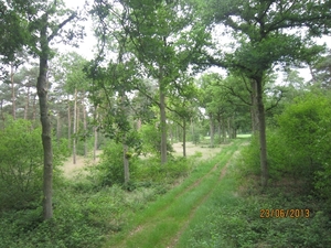 Wandelen in Wortel 23-6-2013 023