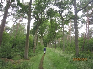 Wandelen in Wortel 23-6-2013 029