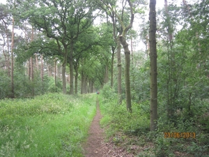 Wandelen in Wortel 23-6-2013 031