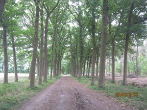 Wandelen in Wortel 23-6-2013 032