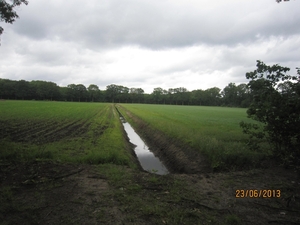 Wandelen in Wortel 23-6-2013 034
