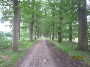Wandelen in Wortel 23-6-2013 036