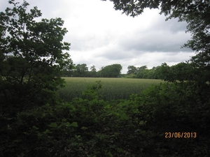 Wandelen in Wortel 23-6-2013 037