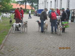 Wandelen in Wortel 23-6-2013 041