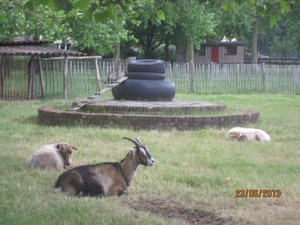 Wandelen in Wortel 23-6-2013 054