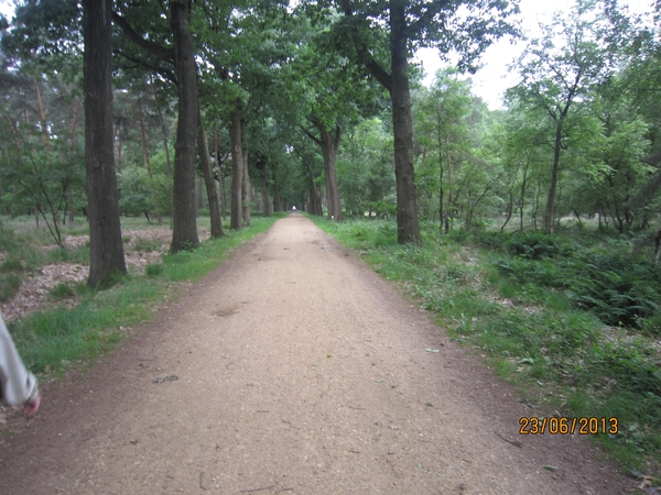 Wandelen in Wortel 23-6-2013 063