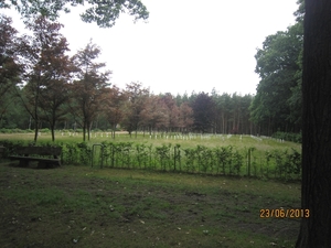 Wandelen in Wortel 23-6-2013 064