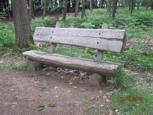 Wandelen in Wortel 23-6-2013 070