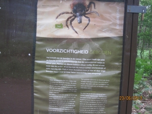 Wandelen in Wortel 23-6-2013 071