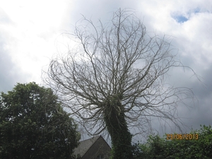 Wandelen in Wortel 23-6-2013 089