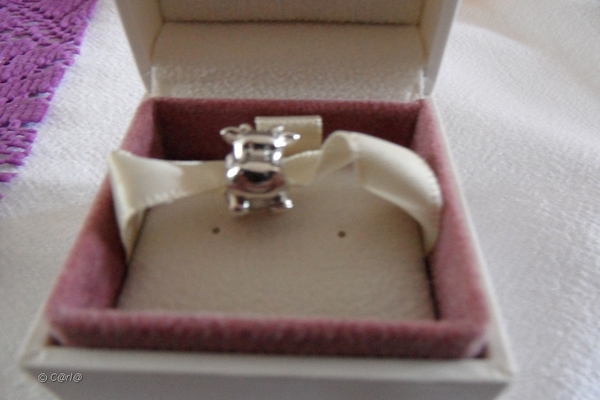 2013-06-22 Verj Chiara Evelien (25)