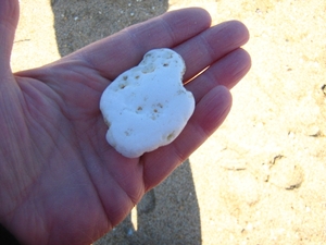 De Panne 2013 122