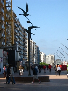 De Panne 2013 132